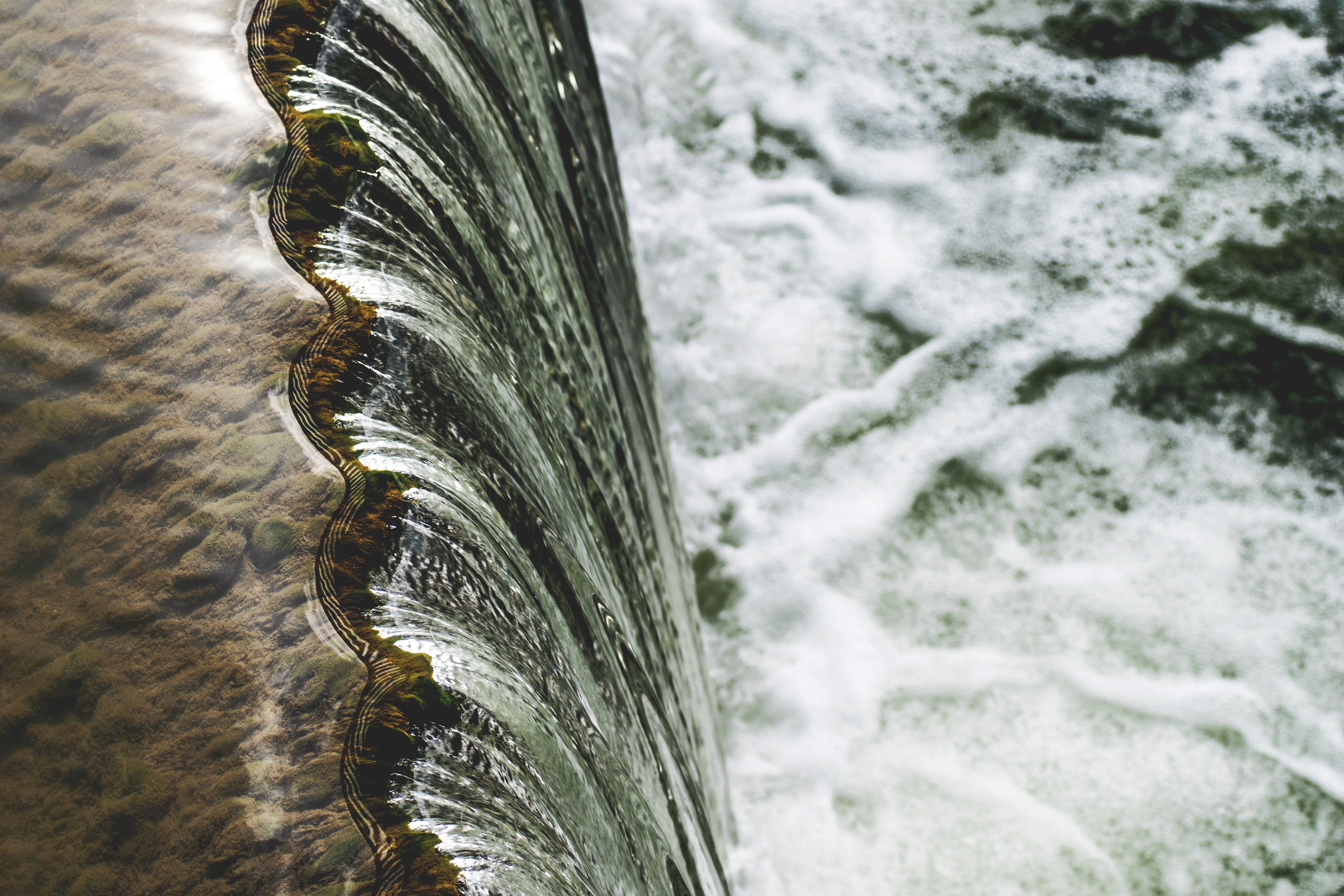 Migratory salmonid fish and dams – Do they mix?