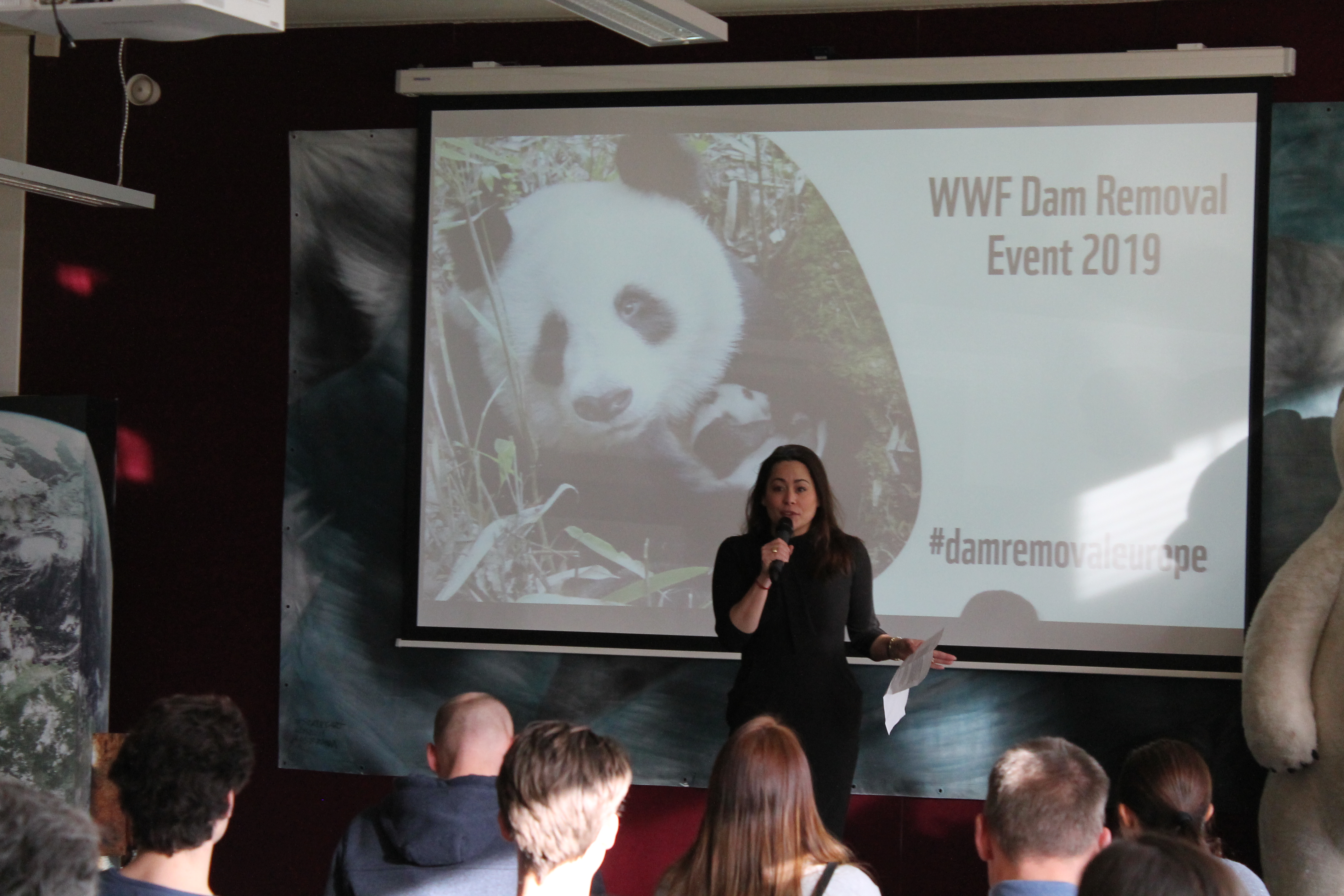 WWF Netherlands hosted their first dam removal event of 2019!