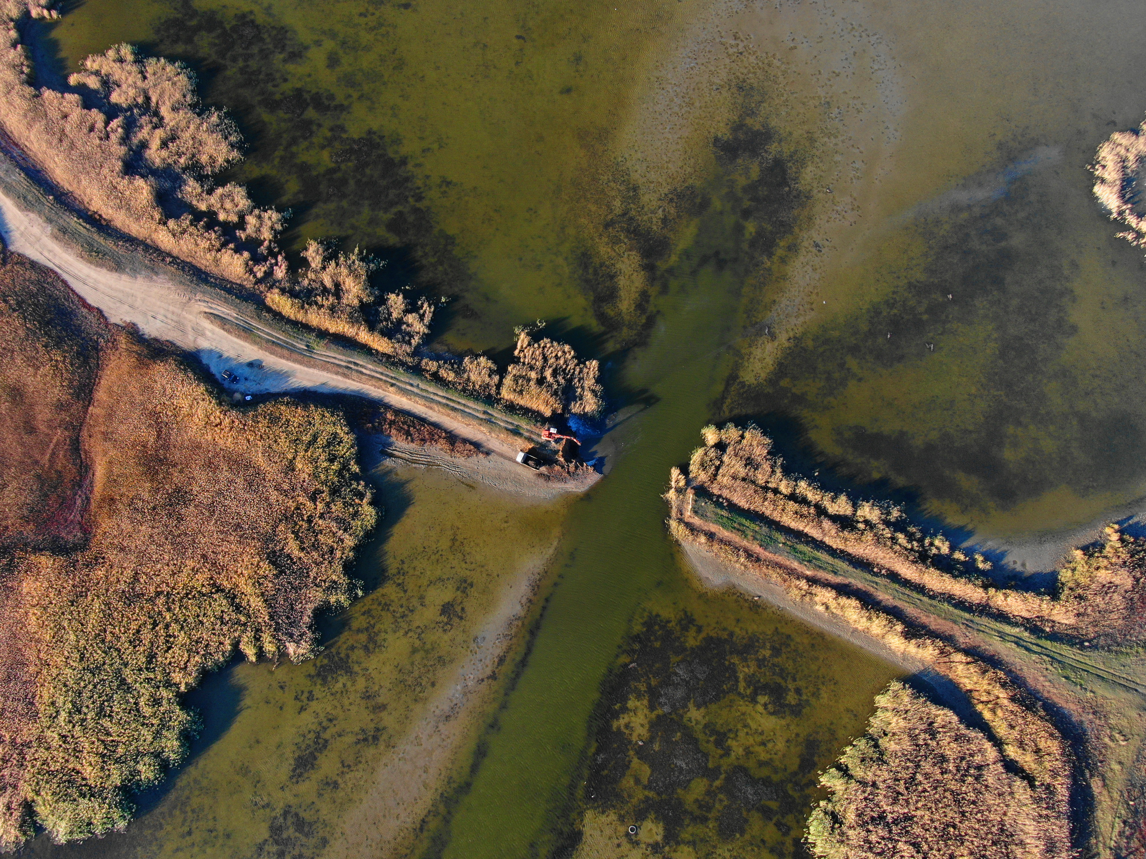 Dam removal boosts rewilding efforts in the Ukrainian Danube Delta