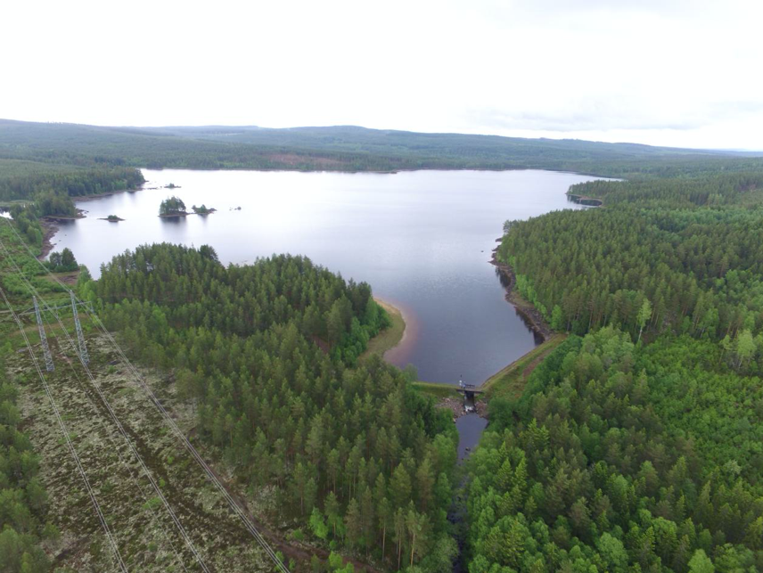 Trout return to Lake Acksjön  after an absence of 100 years