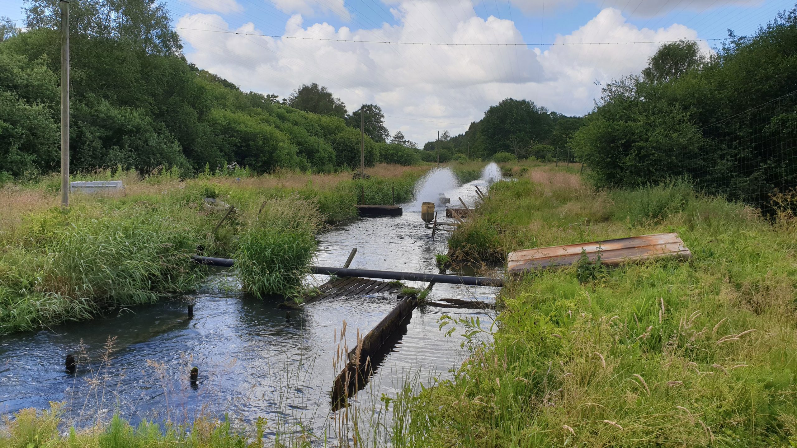 Barrier removal and river restoration of spawning and nursery habitats in the River Vejle