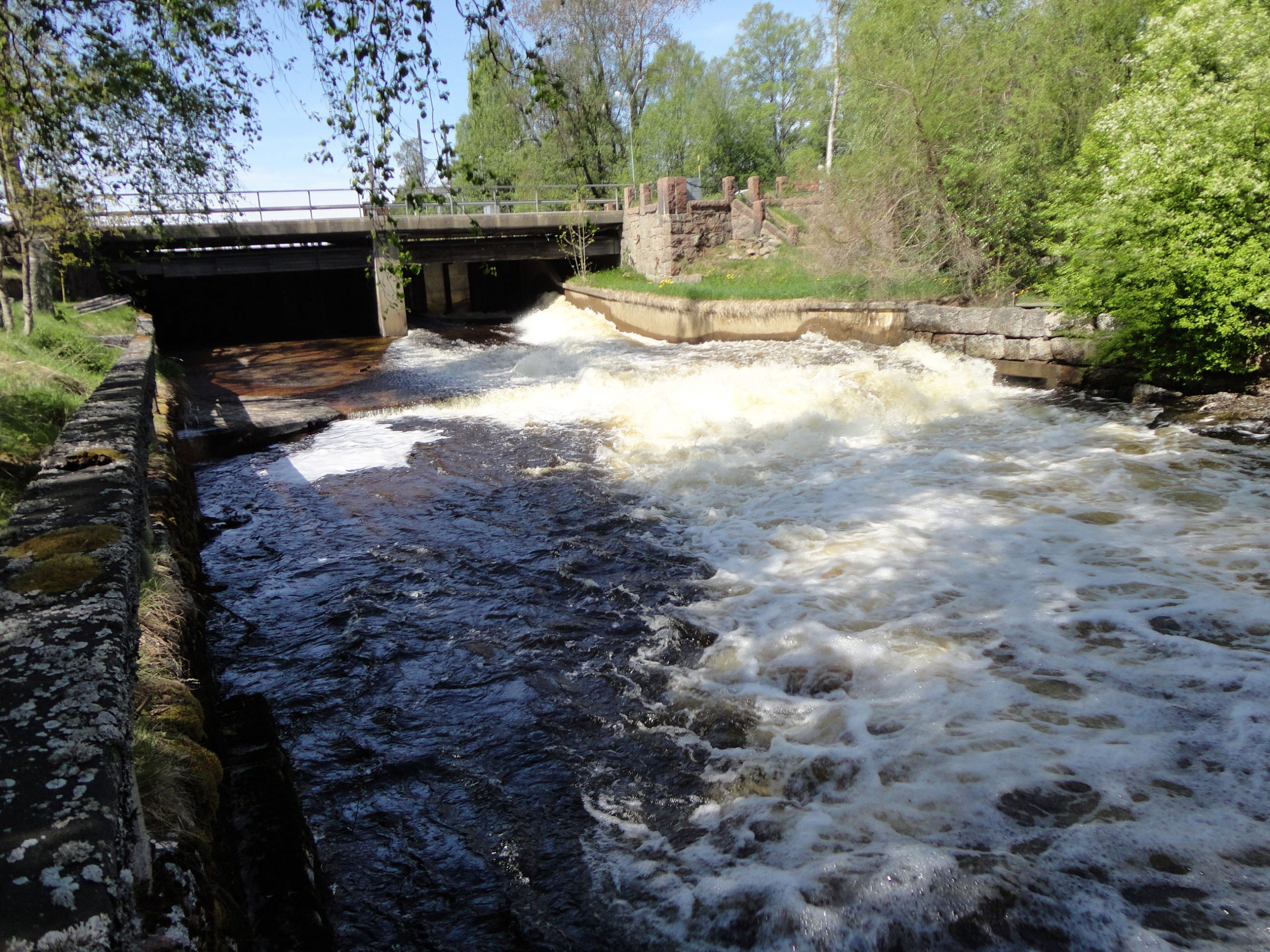 We can expect more dam removals in Sweden in the next decade
