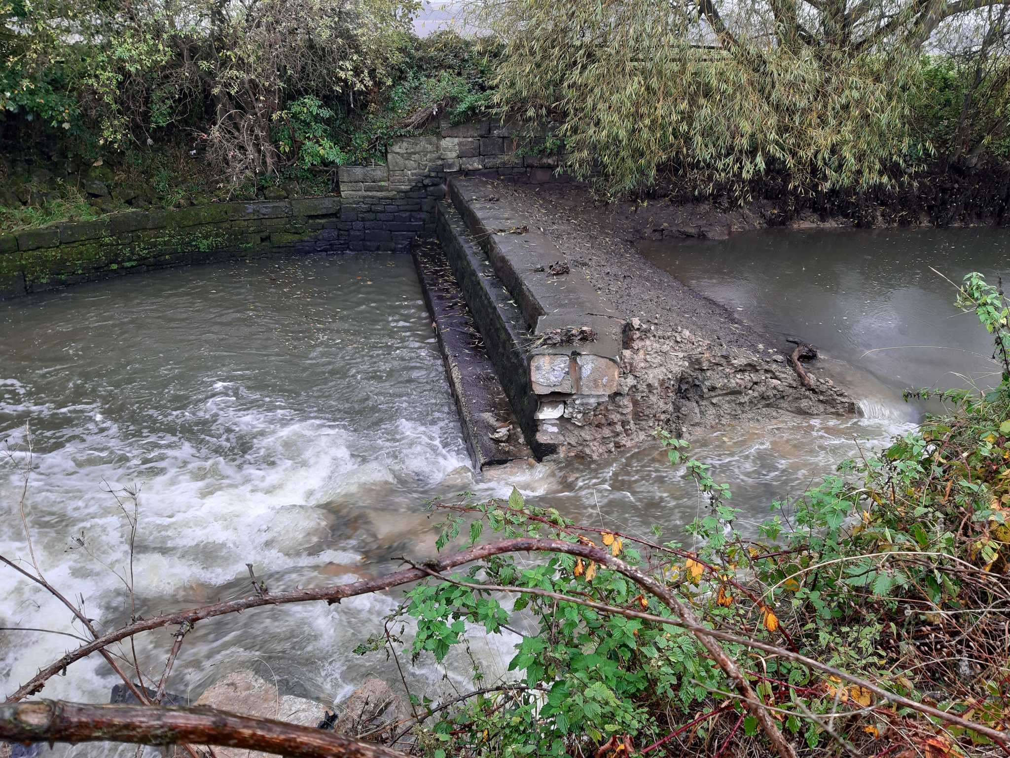 Don Catchment Rivers Trust remove their first weir!