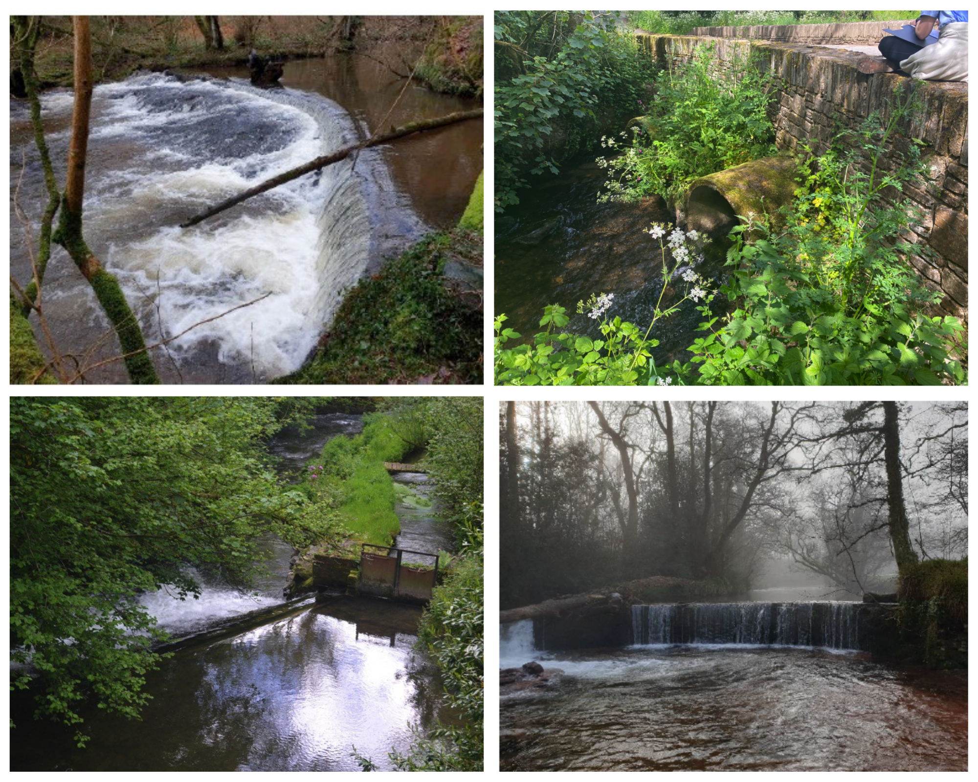 Lottery Fund Awards Half a Million Pounds to Restore Welsh Rivers!