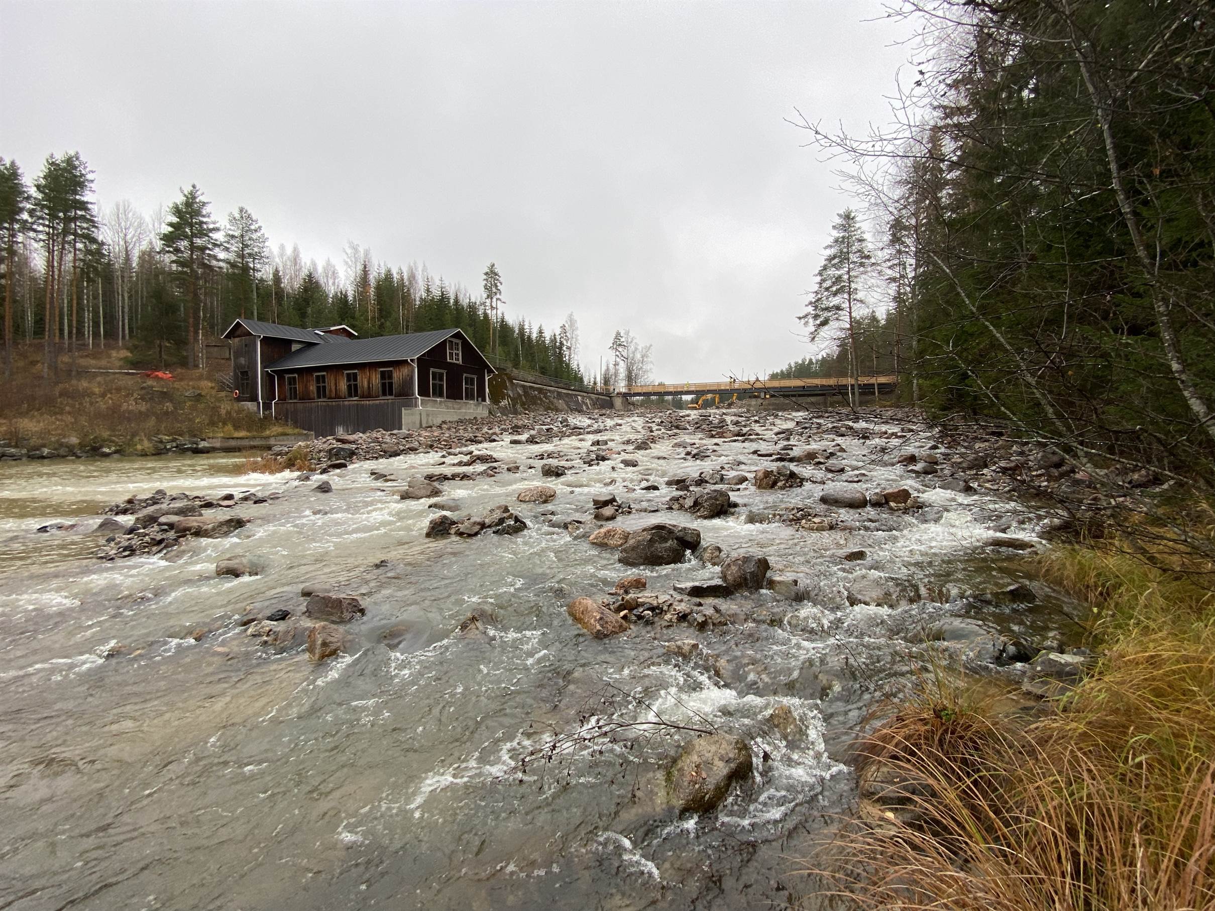 Celebrating the second removal in Hiitolanjoki river