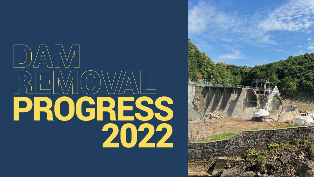 New DRE report reveals another record-breaking year for dam removal in Europe