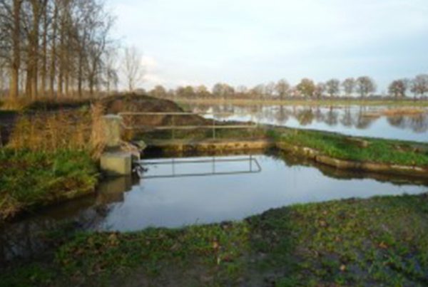 Four weirs removed on the Reusel Brook, North Brabant, The Netherlands