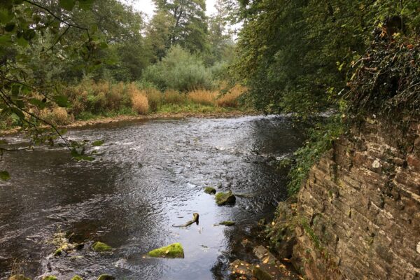 Rivers Teme and Monnow (11)