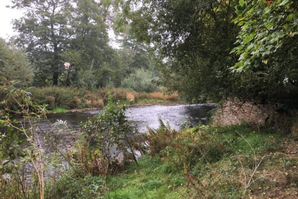 Rivers Teme and Monnow (4)