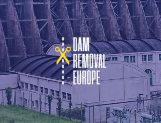 Rewilding Europe’s dam removal webinar recap