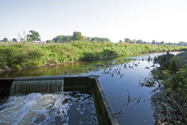 Removal of dams in Boven Slinge, The Netherlands