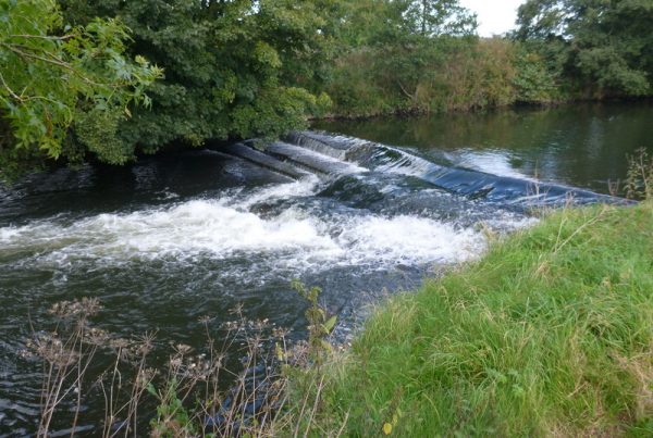 50 Weir Removals on the River Dove, UK