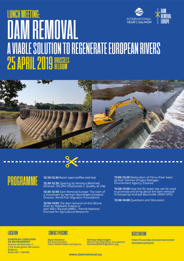 Lunch meeting dam removal, a viable solution to regenerate european