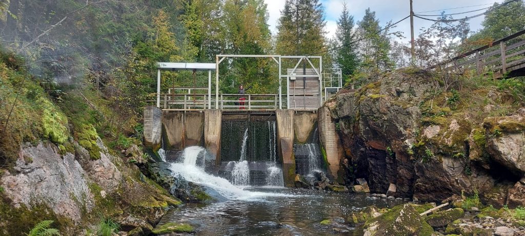 The Freeing of River Hiitolanjoki, the Largest Dam Removal Project in ...