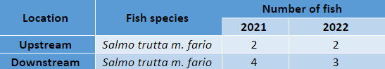Table fish species composition