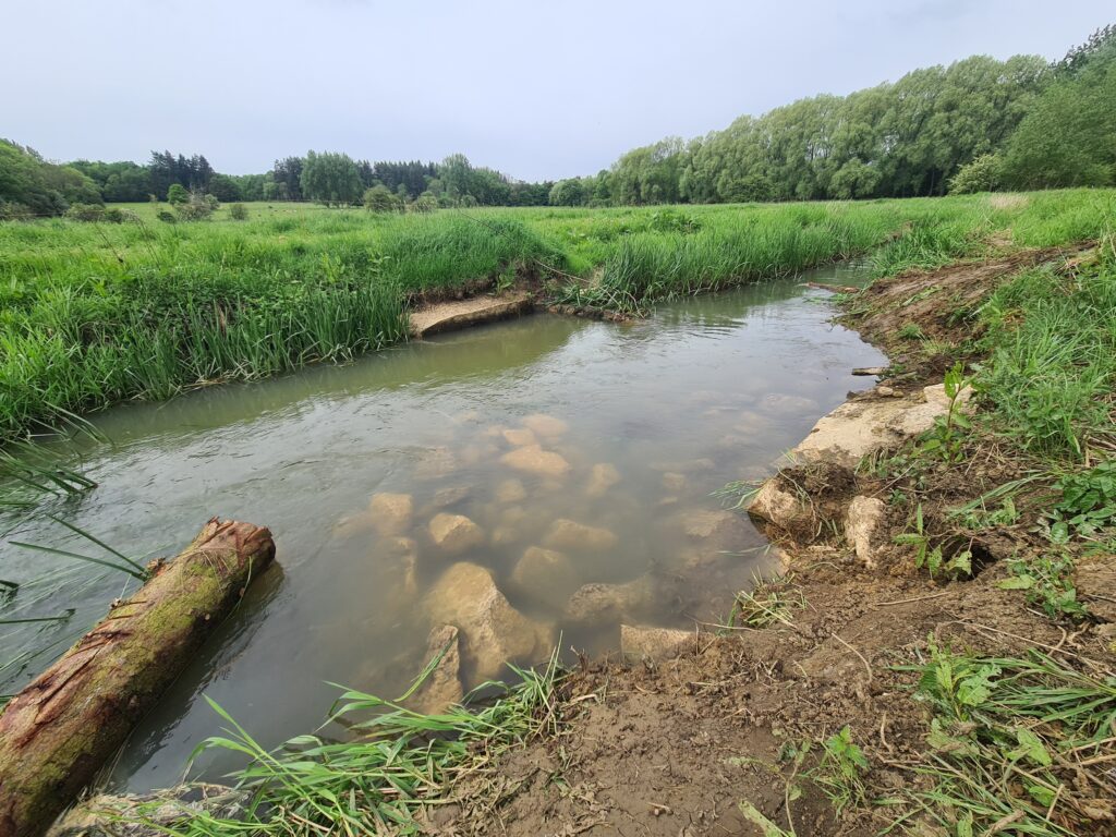 Bruern weir removal project near the village of Milton Under Wychwood, in West Oxfordshire, UK