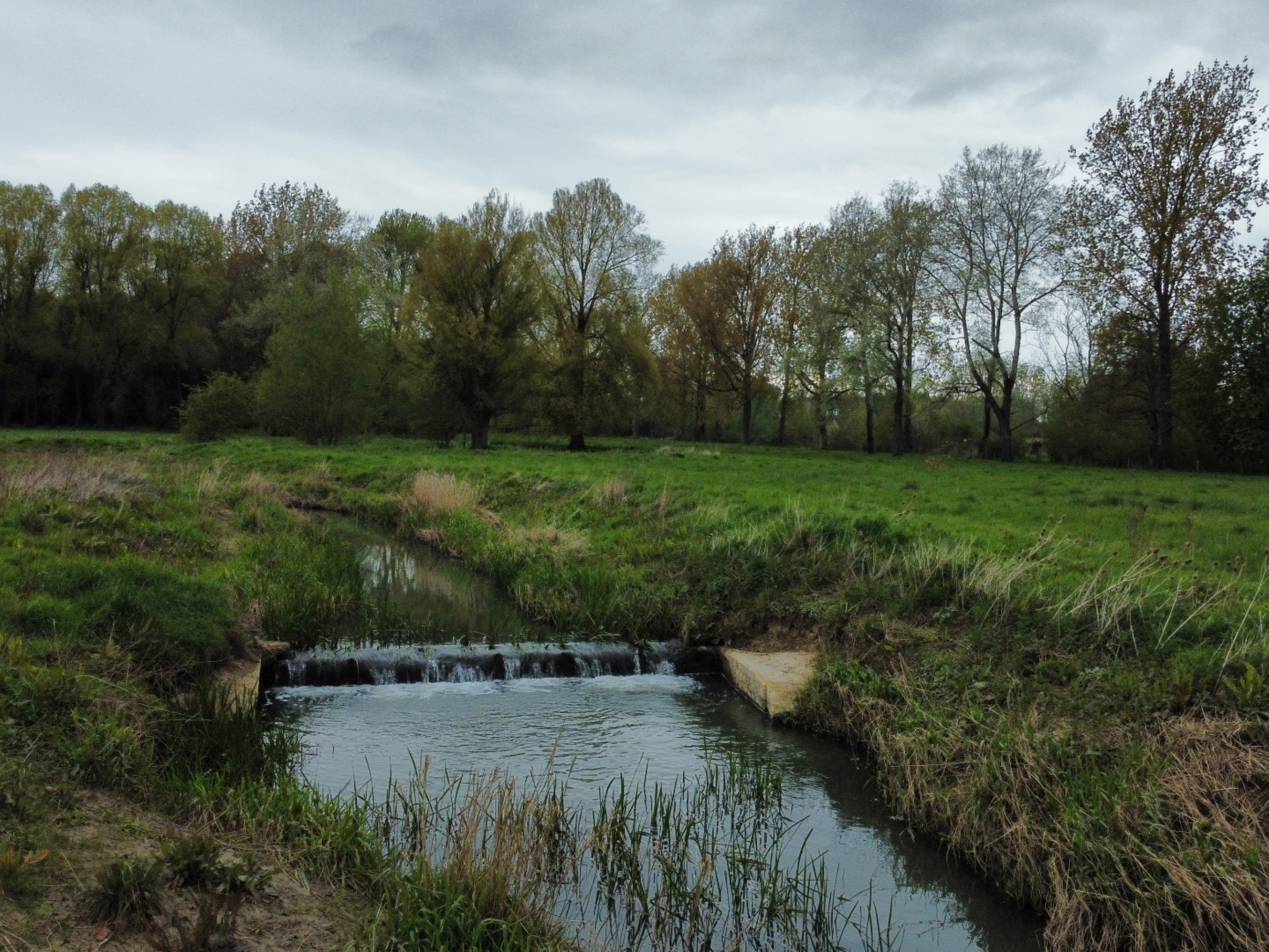 Bruern weir removal project near the village of Milton Under Wychwood, in West Oxfordshire, UK