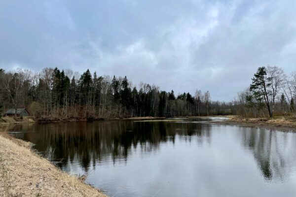 Figure 7 (left). Beja Dam_Reservoir_Before_23.4.21_@Magda Jentgena