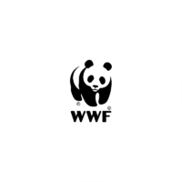 WWF