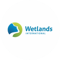 Wetlands